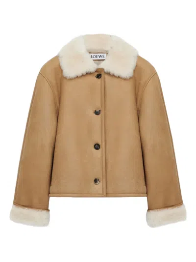 Loewe Shearling-collared Button Jacket In Multi