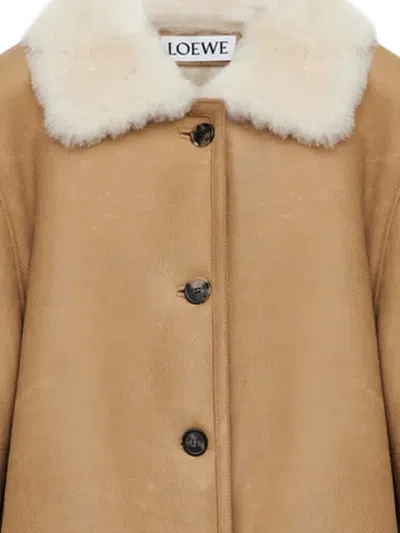 Loewe Shearling-collared Button Jacket In Multi