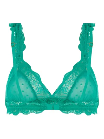 Love Stories Love Lace Triangle Bra In Green