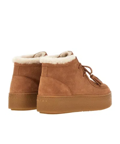 Hogan "polacchino" Shoe In Brown