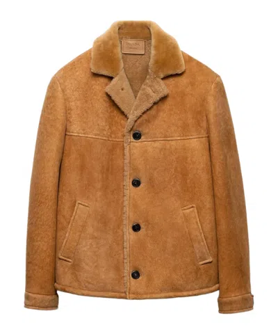 Prada Shearling Coat In Brown