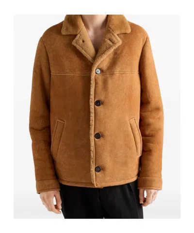 Prada Shearling Coat In Brown
