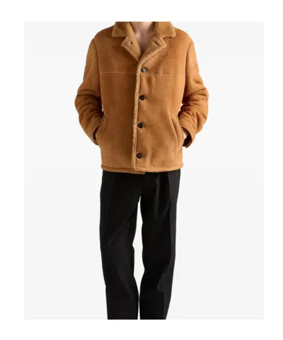 Prada Shearling Coat In Brown