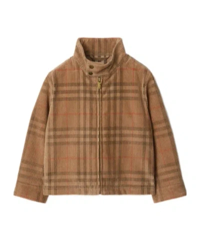 Burberry Check-pattern Corduroy Jacket In Brown