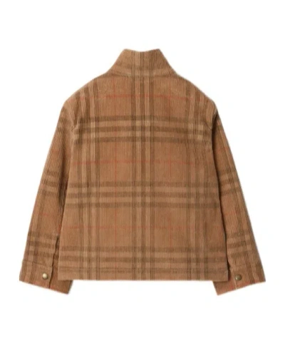 Burberry Check-pattern Corduroy Jacket In Brown