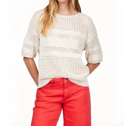 Sanctuary Stripe Open Stitch Elbow Sleeve Cotton Sweater In Multi