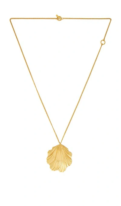 COQUILLE 项链