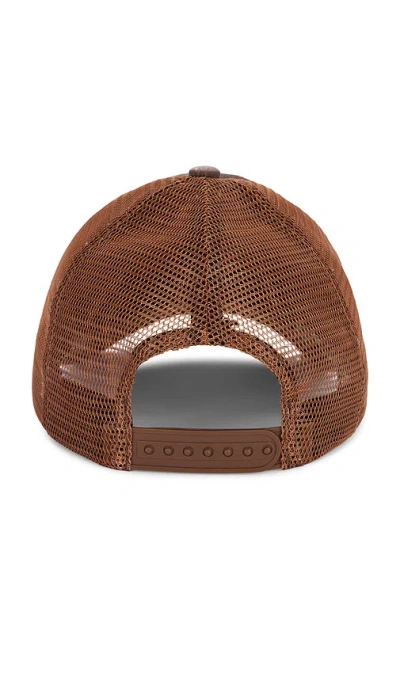 Philcos Lone Star Hat In Brown