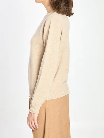 Max Mara Crew Neck Sweater In Cashmere In Neutral