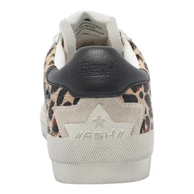 Ash Moonlight Retro Leopard-print Sneakers In Gray