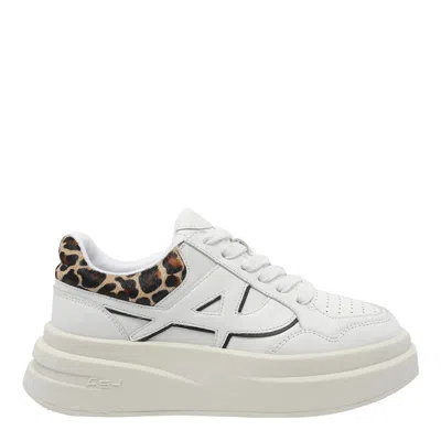 Ash Low Top Sneakers Leopard Print In White