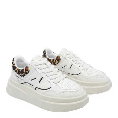 Ash Low Top Sneakers Leopard Print In White