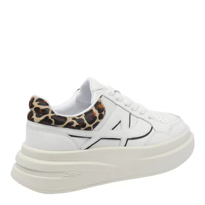 Ash Low Top Sneakers Leopard Print In White