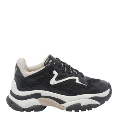Ash Addict Low-top Sneakers In Black