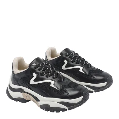 Ash Addict Low-top Sneakers In Black