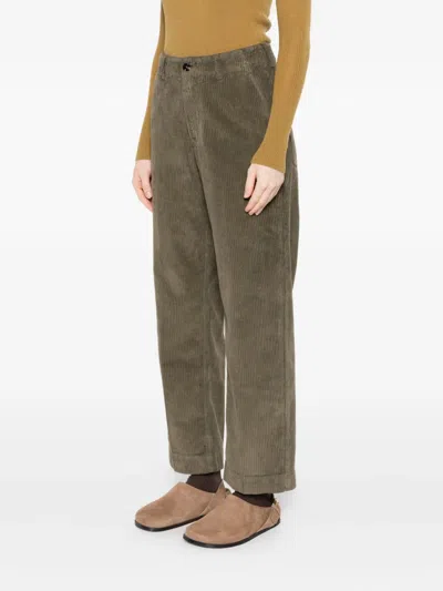 True Avenue Corduroy Trousers In Green
