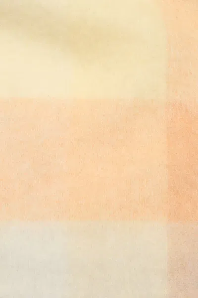 Acne Studios Alpaca Wool Blend Checkered Pattern Scarf In Neutral