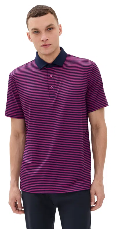 Redvanly Baker Polo Bordeaux In Purple
