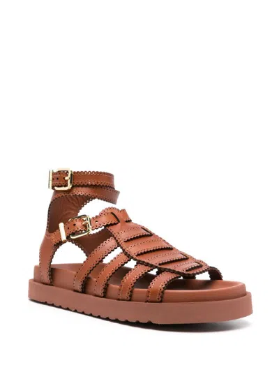 Zimmermann Goldie Gladiator Flats In Brown Leather In Brown