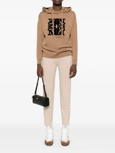 Max Mara Wool Yarn Sweatshirt In Brown