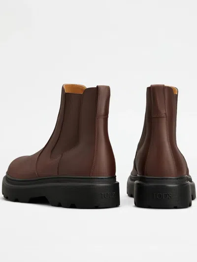 Tod's Shoes In Multi