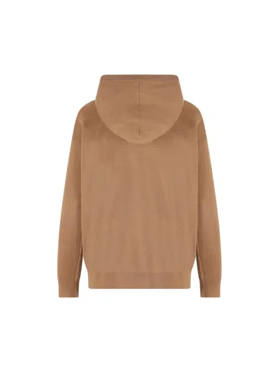 Max Mara Taddeo Sweatshirt With Brush Embroidery In Brown