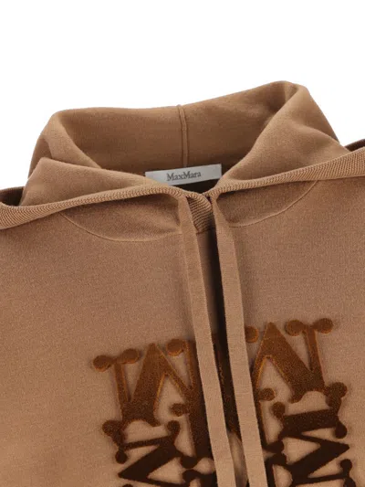 Max Mara Taddeo Sweatshirt With Brush Embroidery In Brown