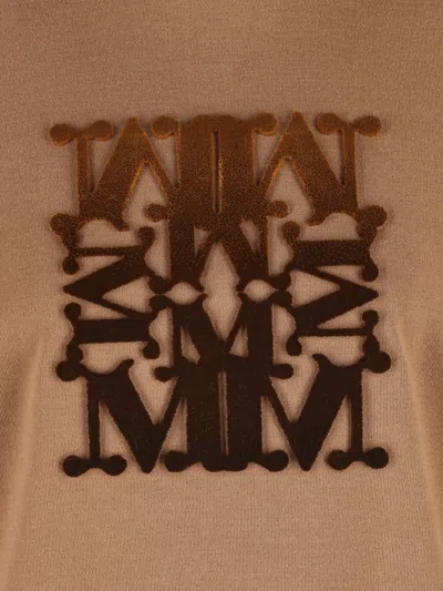 Max Mara Taddeo Sweatshirt With Brush Embroidery In Brown