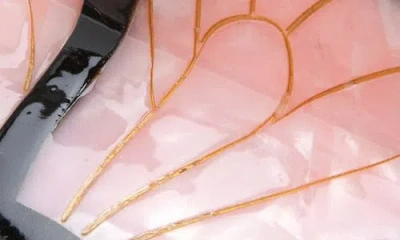 Solar Eclipse Monarch Hair Claw Clip In Multi