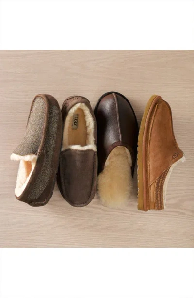 Ugg Neuman