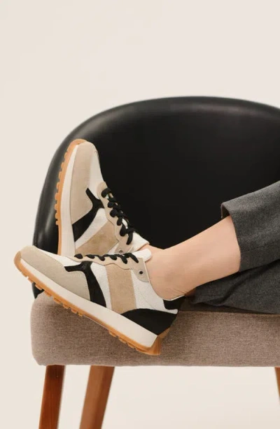 Naot Sunset Sneaker In Multi