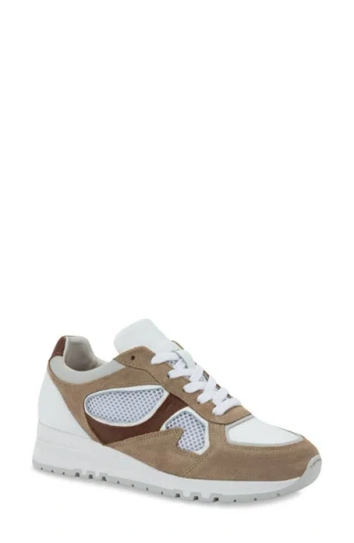 Naot Collins Sneaker In Multi