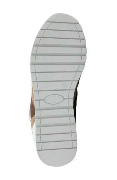 Naot Collins Sneaker In Multi