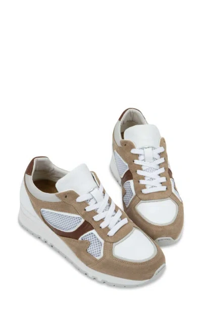 Naot Collins Sneaker In Multi