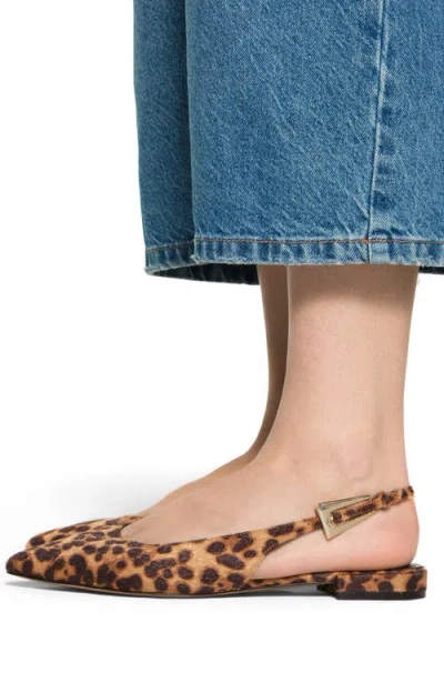 Aldo Women's Kristell Slingback Flats In Animal Print