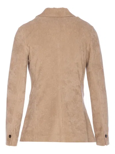 Circolo 1901 Bordeaux Jacket Frontal Button Closure In Brown