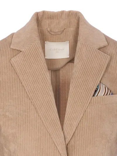 Circolo 1901 Bordeaux Jacket Frontal Button Closure In Brown