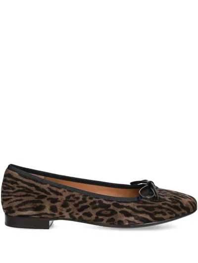 Billi Bi Leopard-print Bow Ballet Flats In Brown
