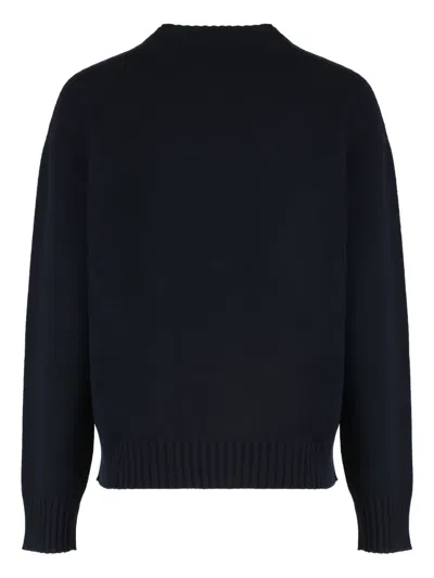 Fabiana Filippi Crew Neck Knitwear Long Sleeves In Black