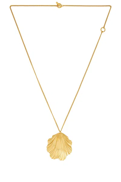 Julietta Coquille Necklace In Gold
