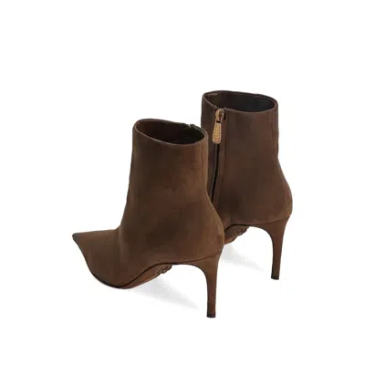 Dolce & Gabbana Devotion Suede Ankle Boots In Brown