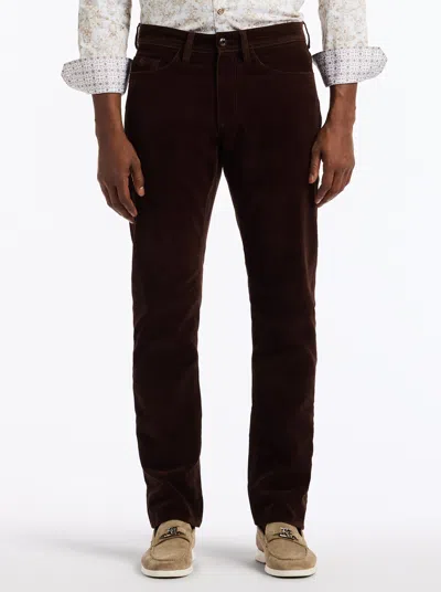Robert Graham Celestial Straight Fit Velvet Pants In Brown