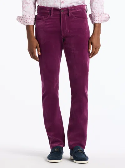 Robert Graham Celestial Straight Fit Velvet Pants In Purple