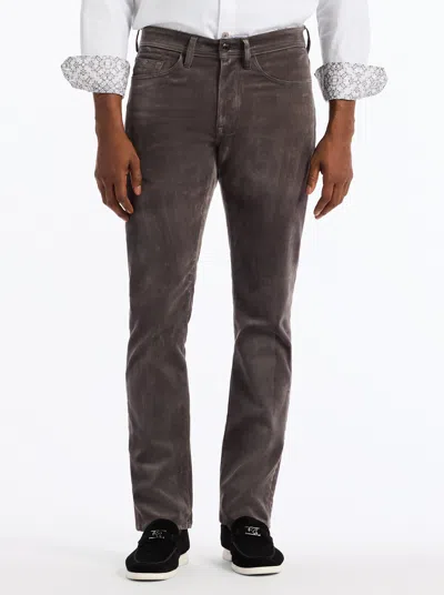 Robert Graham Celestial Velvet Pants In Gray