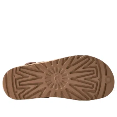 Ugg (wmns)  Goldenstar Braid Clog 'mustard Seed' In Neutral