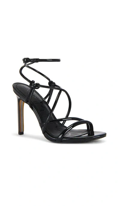 Sam Edelman Women's Isadora Sandals In Black