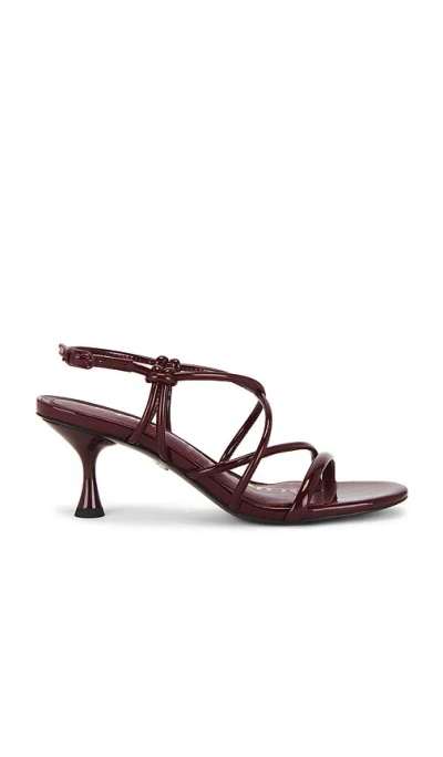 Sam Edelman Riana Strapy Heel Sandal French Merlot Patent Leather In Burgundy