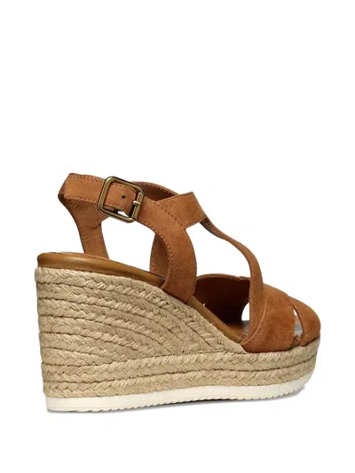 Geox Crossover Wedge Espadrilles In Brown