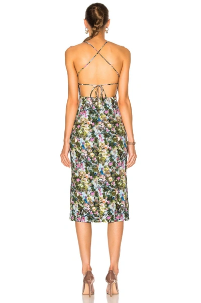 Shop Cushnie Et Ochs Donna Open Back Lace Up Dress In Green, Floral. In Floral Print