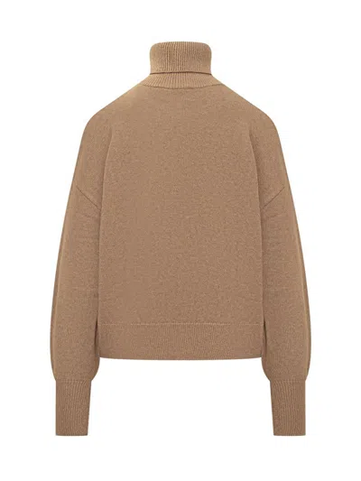 Isabel Marant Étoile Isabel Marant Etoile Nashas Turtleneck Sweater With Embroidered Logo In Brown